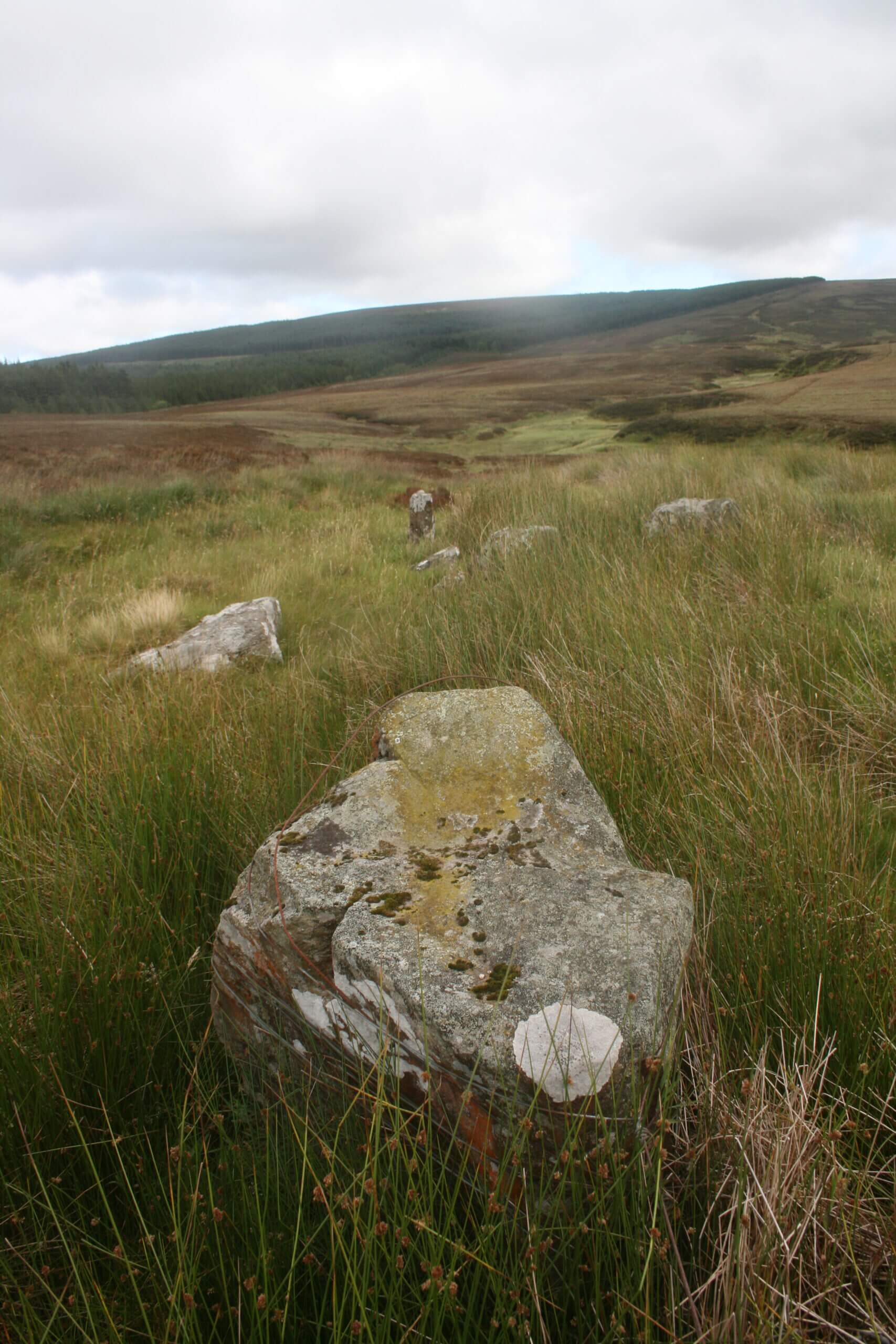 Haunton Stones, (megalithic tomb), Drumacullion, Glenshesk, Ballycastle