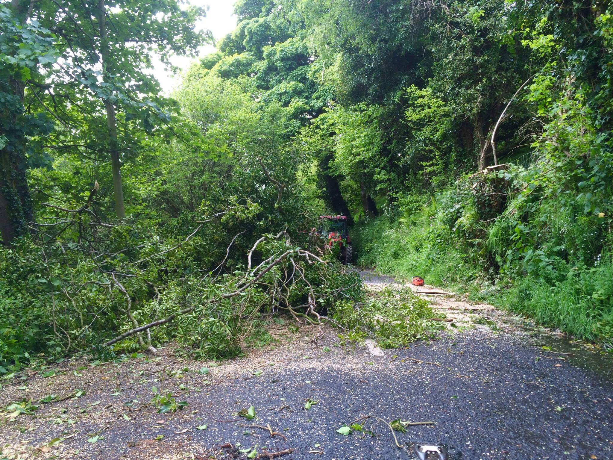 Road closure in Glenshesk with fallen trees, June 2015