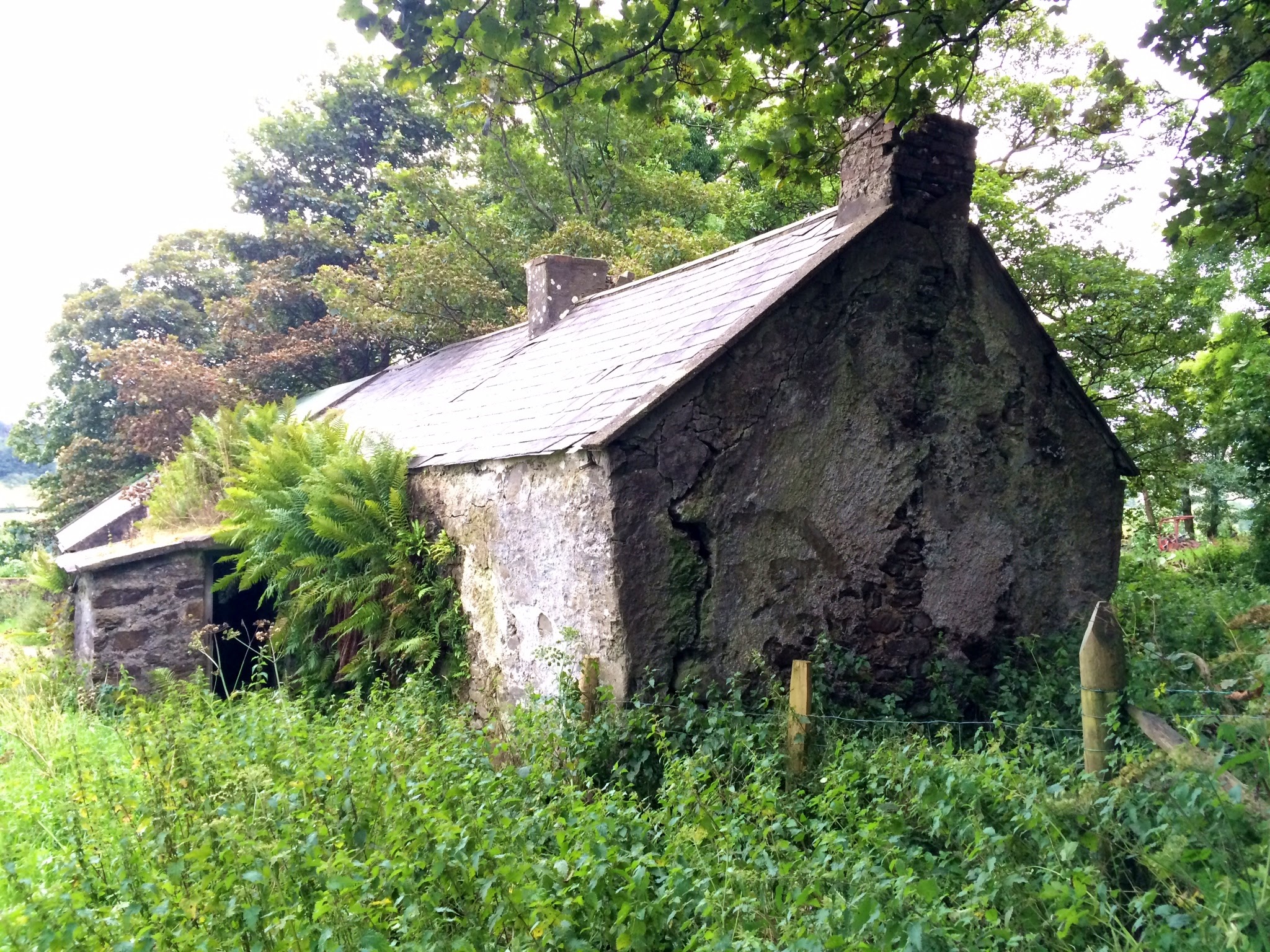 Derelict farm, Clare, Glenshesk, Ballycastle where John Henry was brought up. Photo - Niall McCaughan