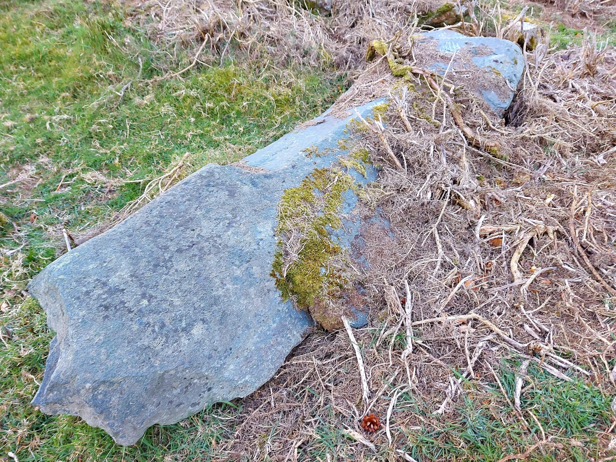 Large 10ft stone, one of several, Uaigh, Glenshesk, Ballycastle. Photo - Niall McCaughan