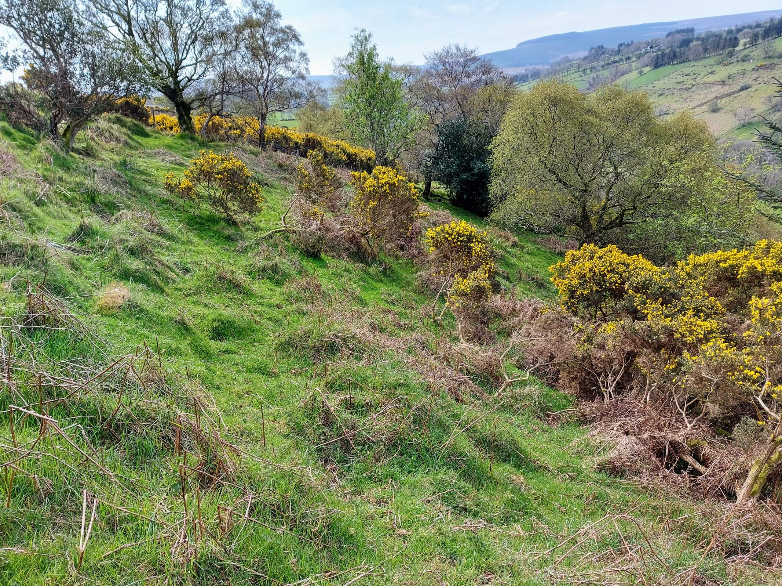 Site of Old Graveyard, Broughmore, Glenshesk, Ballycastle