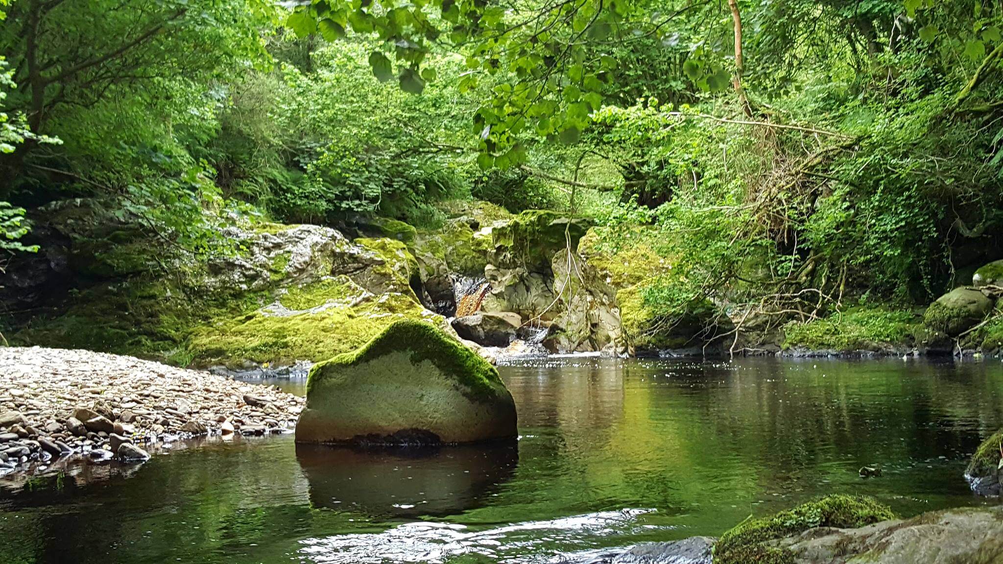 Henry's Step, Glenshesk