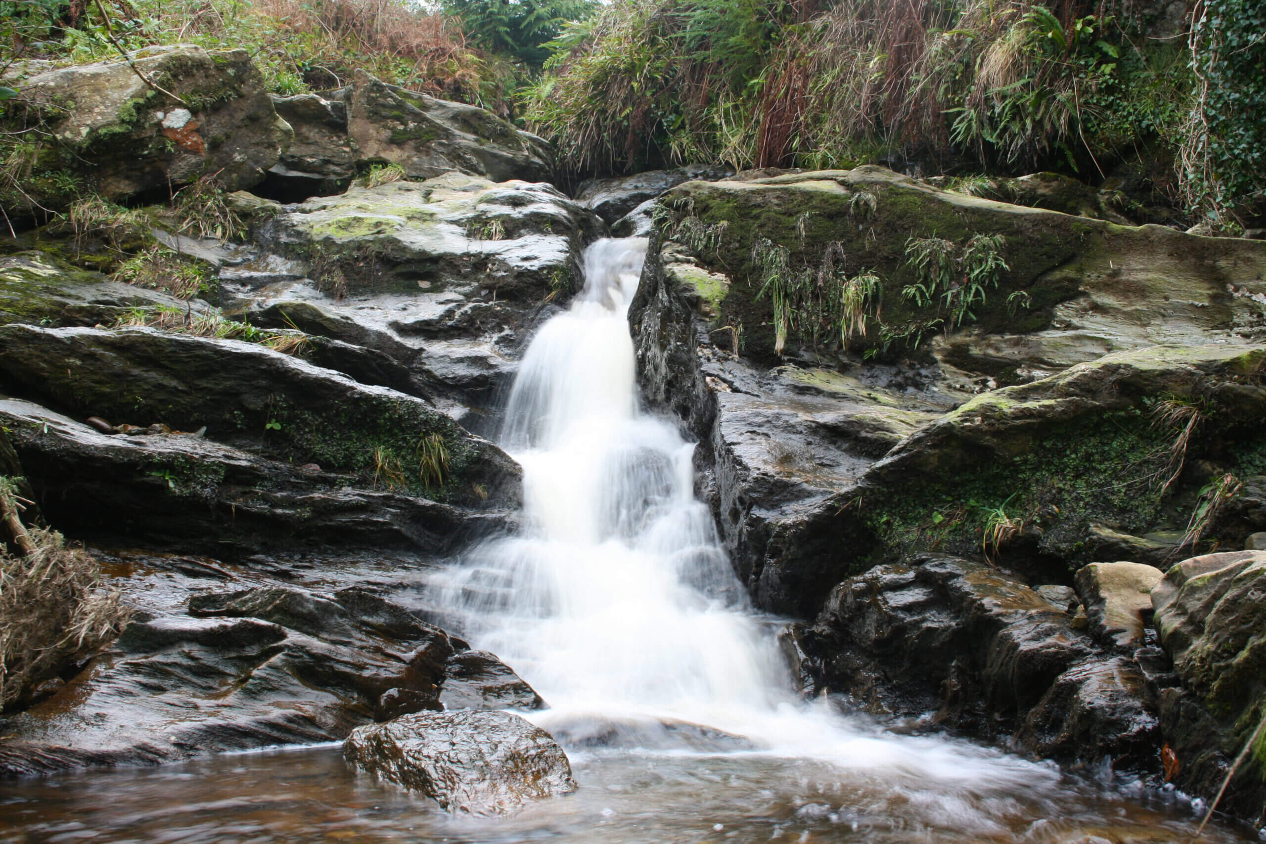 Stream below the high Road, Glenshesk, Ballycastle. Photo - Niall McCaughan