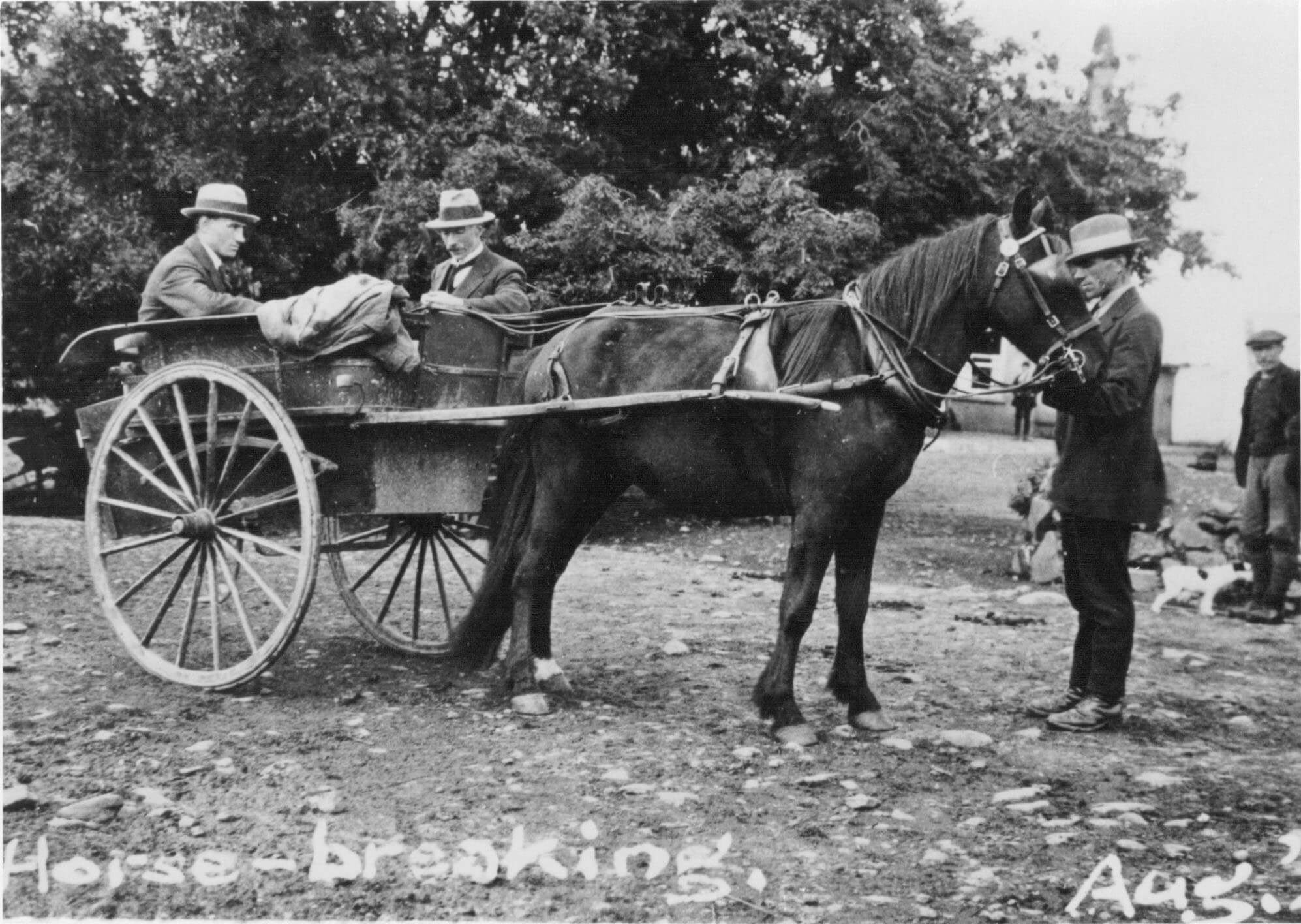 Horse & trap, Duncarbit Farm, Glenshesk , Aug 1921. Photo - Fr John McCaughan Collection