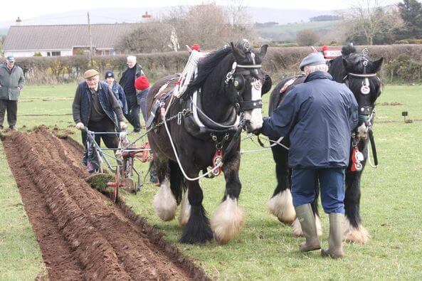 Ballycastle Horse Ploughing Match